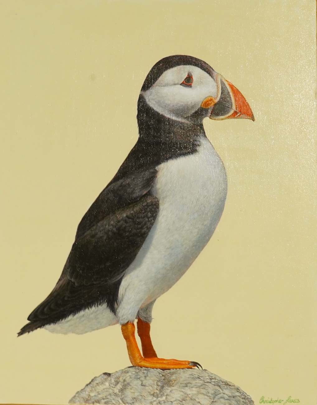 Christopher James (English, Contemporary), Puffin, oil on panel, 30 x 24cm